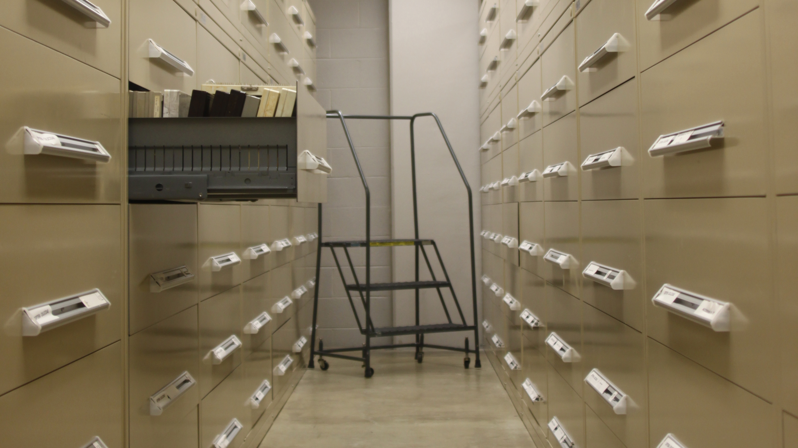 A view of our collections space
